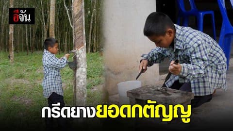 ยอดกตัญญู 9 ขวบ ช่วยยายกรีดยาง หาเงินจุนเจือครอบครัว