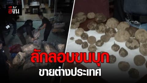 กรมป่าไม้ จับรถขนบุก 3,943 กก. พบเตรียมส่งขายต่างประเทศ