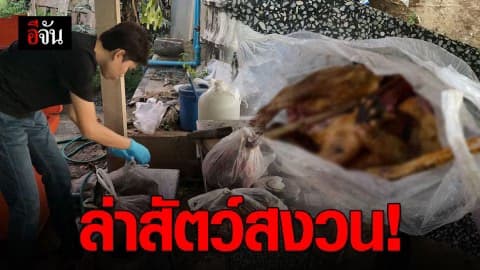 เจ้าหน้าที่พญาเสือ รวบ 2 หนุ่ม ล่าเก้งหม้อสัตว์ป่าสงวน