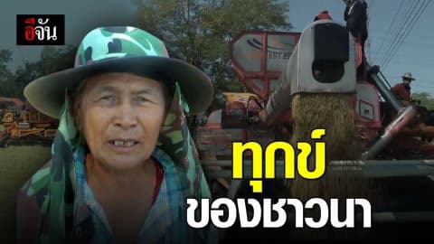 ข้าวหอมมะลิโลละ 10 บาท