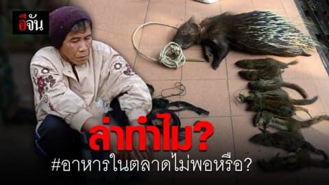 รวบชายวัย 68 ลักลอบล่าสัตว์ป่าคุ้มครอง