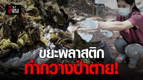 สลด! กวางป่ากินขยะพลาสติกตาย