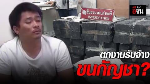 หนุ่มลอบขนกัญชา 480 กก. ใส่หลังกระบะ แลกค่าจ้าง 50,000 บาท