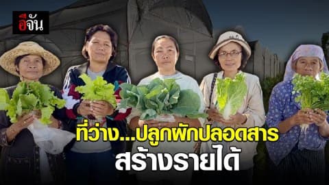ชาวบ้าน จ.กาฬสินธุ์ รวมตัวปลูกผักปลอดสารพิษ สร้างรายได้