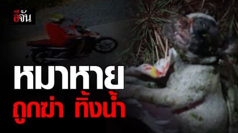 วงจรปิด เผยหน้าคนร้ายชัด! ขโมยหมา ฆ่า ทิ้งคูน้ำ