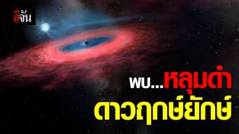 นักดาราศาสตร์จีนพบ “หลุมดำดาวฤกษ์ยักษ์” ในทางช้างเผือก