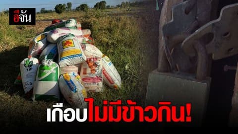 โจรแสบบุกขโมยข้าวเปลือกชาวนา