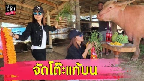 “หนึ่ง บางปู” จัดโต๊ะไหว้แก้บนกับควาย ฉลองยอดวิว รักเบาๆ ครึ่งล้าน