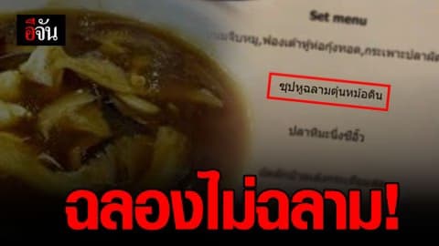 WildAid Thailand ช่วยสัตว์ป่า โพสต์ รณรงค์ฉลองไม่เสิร์ฟหูฉลาม