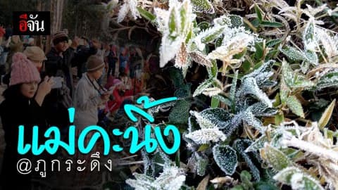 ภูกระดึงมีแม่คะนิ้ง