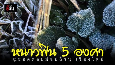 หนาวจัดจนแม่คะนิ้งเกาะ 5 องศา @ยอดดอยม่อนล้าน