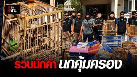 รวบหนุ่มวัย 30 ค้านกป่าคุ้มครอง ออนไลน์