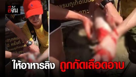 นักท่องเที่ยว ถูกลิงกัดที่จุดชมวิวเขาโต๊แซะ