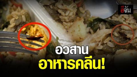 แมลงสาบในอาหารคลีนแบรนด์ดัง!