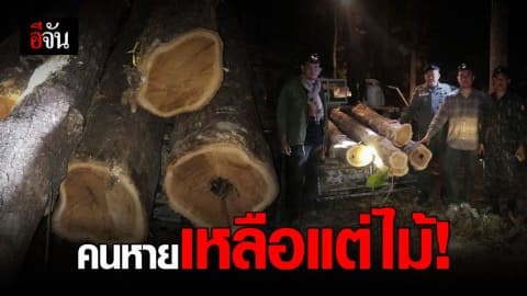 ปกครองแพร่ บุกจับขบวนการค้าไม้เถื่อน แอบลักลอบตัดไม้สัก