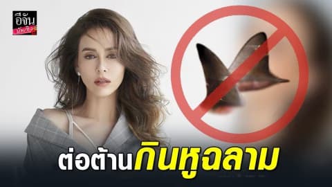 “นัท มีเรีย” เป็นกระบอกเสียงเลิกบริโภคหูฉลาม…หยุดซื้อคือหยุดฆ่า!