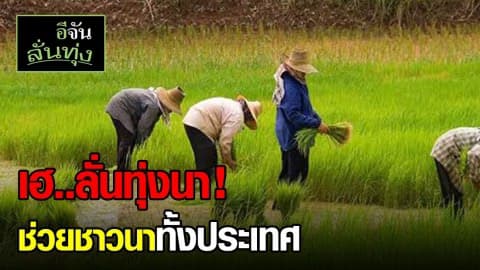 ครม.อนุมัติงบช่วยชาวนา !!
