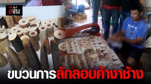 รวบขบวนการลักลอบค้างาช้างแอฟริกา