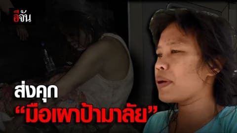 ตำรวจนำมือเผาป้ามาลัยไปฝากขัง