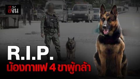 RIP น้องกาแฟ 4 ขาผู้กล้า สุนัขทหารค้นหาระเบิดชายแดนใต้