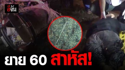 ยายวัย 60 ขับเก๋งเสียหลัก เจอข้าวเปลือกเกลื่อนถนน พุ่งชนต้นไม้ สาหัส
