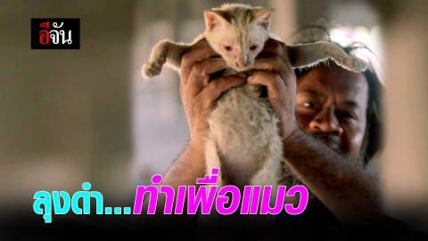 ลุงดำ ทำเพื่อแมว