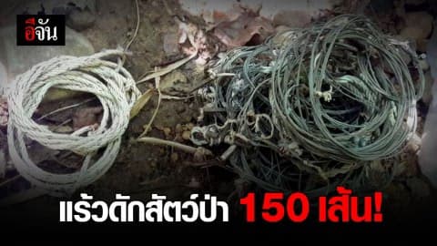 อึ้ง! พบแร้วดักสัตว์ป่าใน ขสป.คลองเครือหวายเฉลิมพระเกียรติ มากถึง 150 เส้น