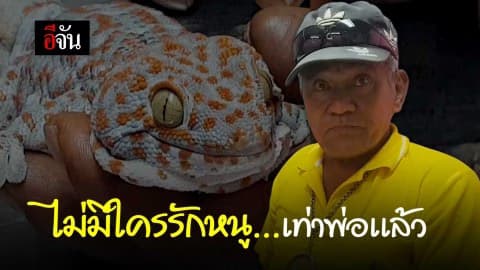 ไม่มีใครรักหนูเท่าพ่อแล้ว