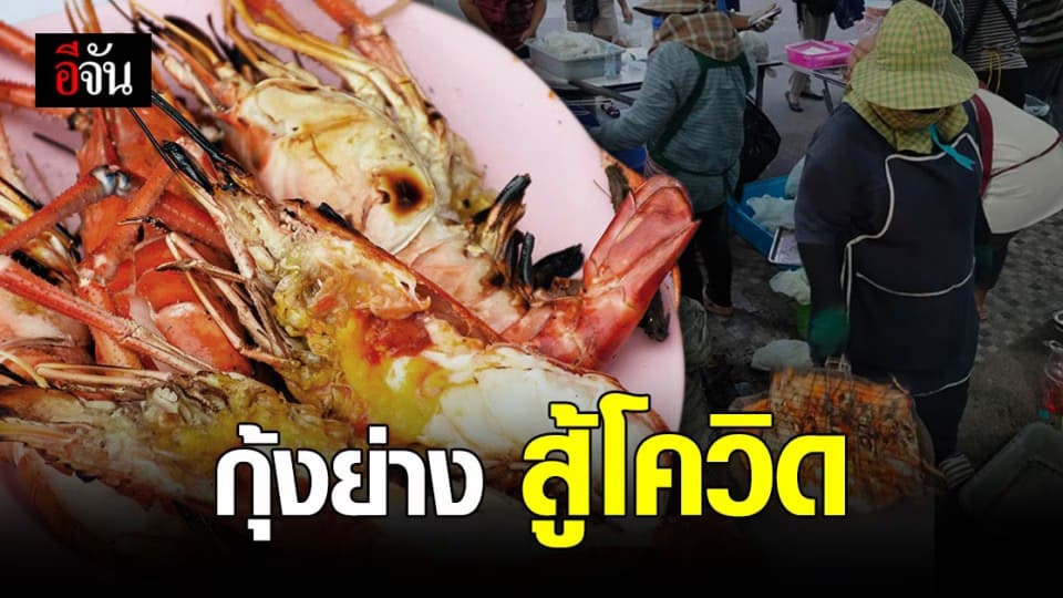 กลุ่มผู้เลี้ยงกุ้ง รุกขายกุ้งก้ามกราม ถึงที่ สู้โควิด