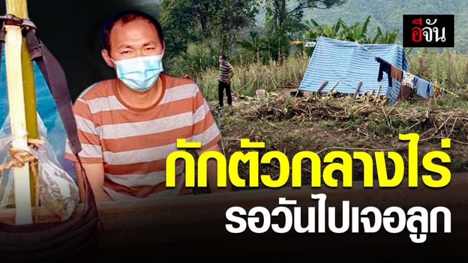 ชื่นชมชายชาวดอย กลับจากกรุงเทพ กักตัว กลางไร่ รอวันไปเจอหน้าลูกเพิ่งคลอด