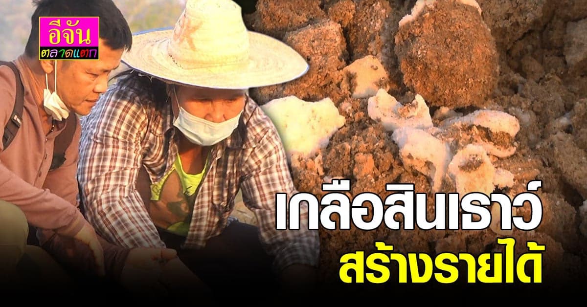 ขอนแก่น ส่งเสริม เกลือสินเธาว์ สร้างรายได้ มรดกจาก ยุคไดโนเสาร์