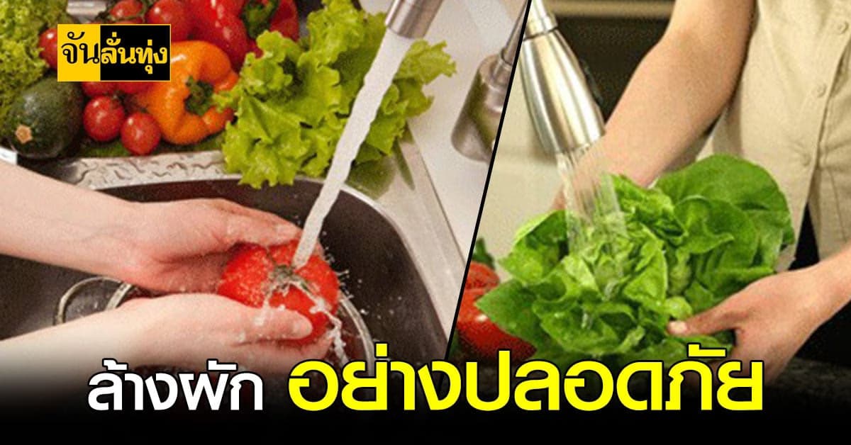 วิธีล้างผัก ผลไม้ แบบง่าย ๆ ที่ใครก็ทำได้