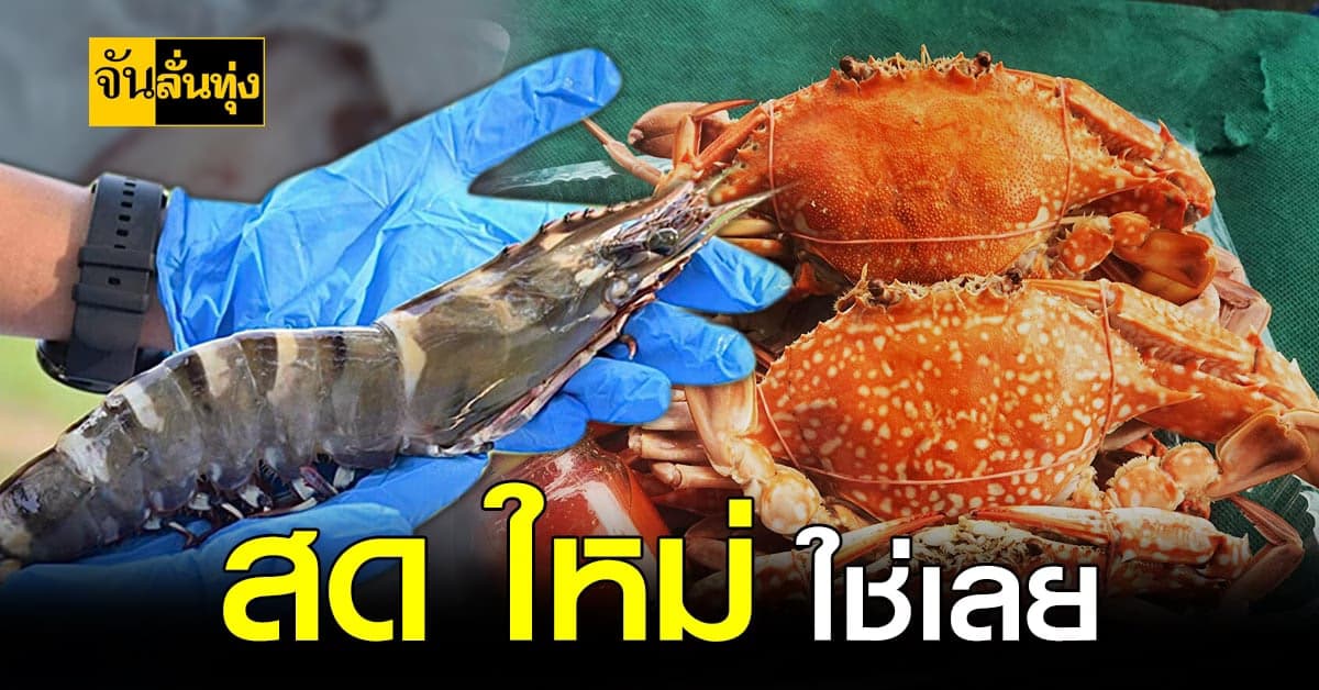 เก๋เว่อร์!ขาย อาหารทะเลออนไลน์ สู้ภัย โควิด