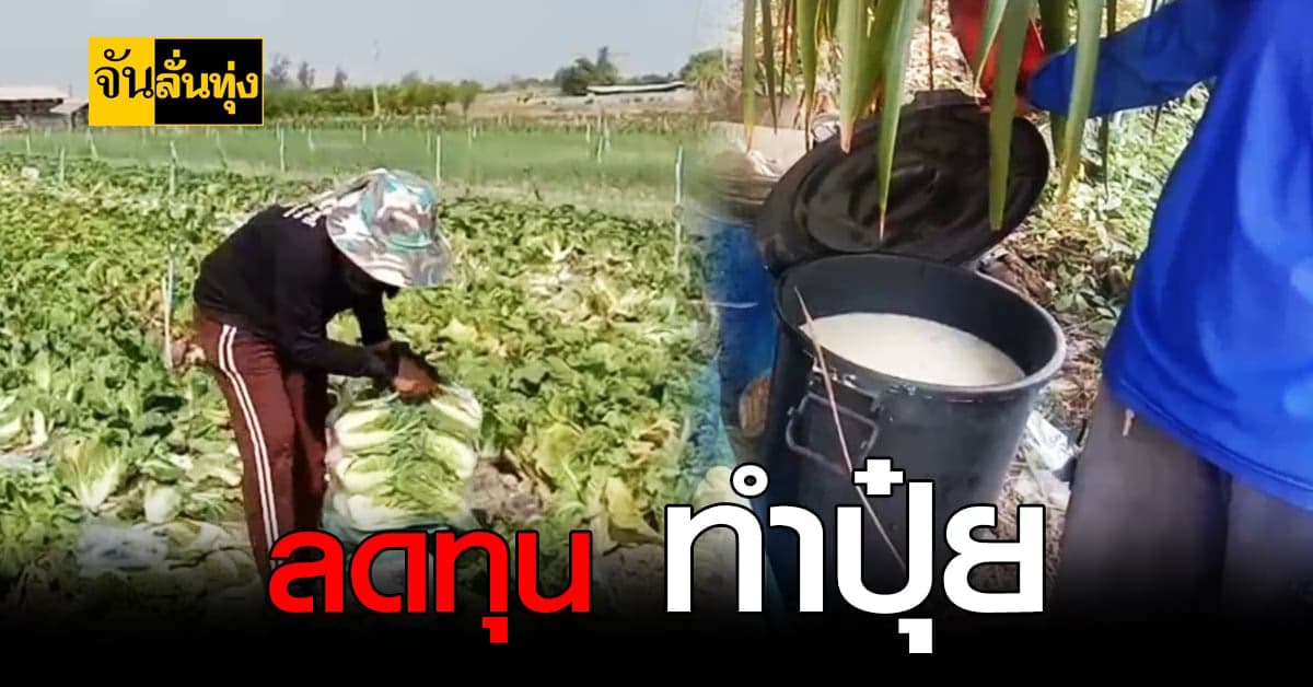 มาดูกัน ! เทคนิคปุ๋ยหมักชีวภาพ  เพื่อลดต้นทุนการผลผลิต