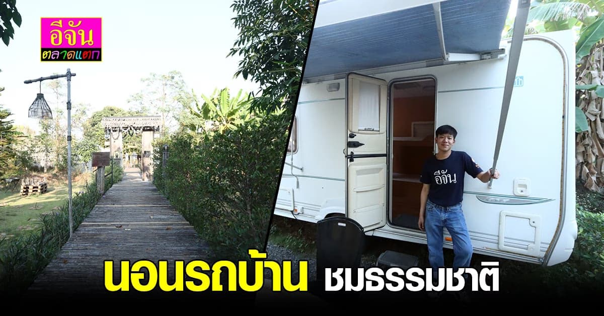 นอนรถบ้าน กลางทุ่งดอกไม้ สูดอากาศบริสุทธิ์ ที่ เขาใหญ่ปลายนา