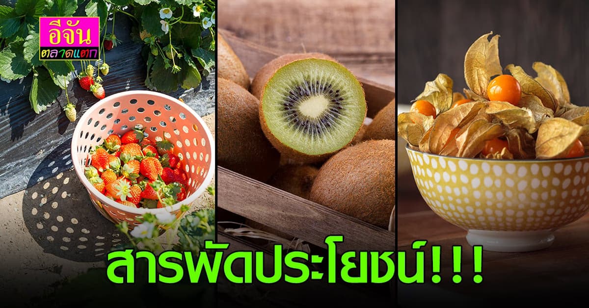 ผลไม้หน้าหนาว หนึ่งในไอเท็มหลักที่จะช่วยให้สาวๆ สุขภาพดี