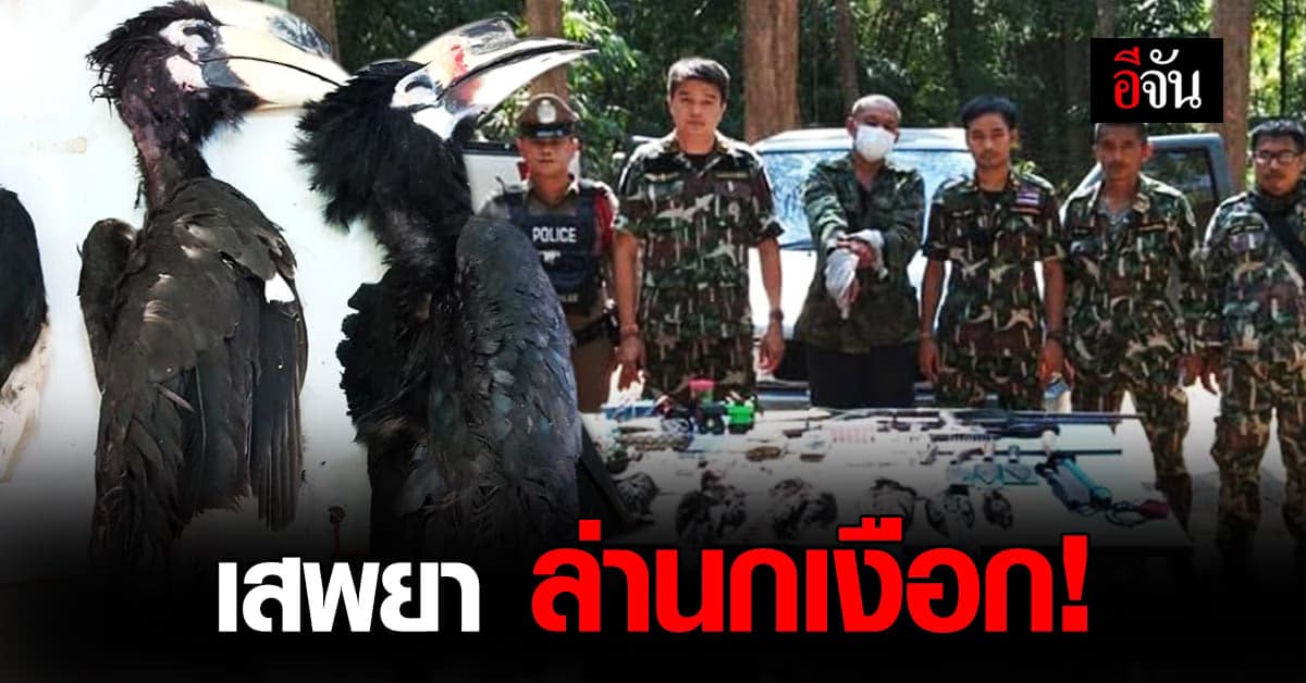 ทหารยศพันจ่าเอก เสพยา ล่านกเงือก กลางป่า อุทยานแห่งชาติไทรโยค