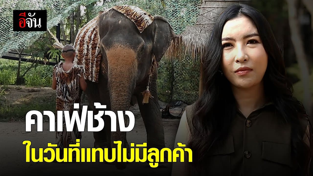 คาเฟ่ช้าง ในวันที่เเทบไม่มีลูกค้า