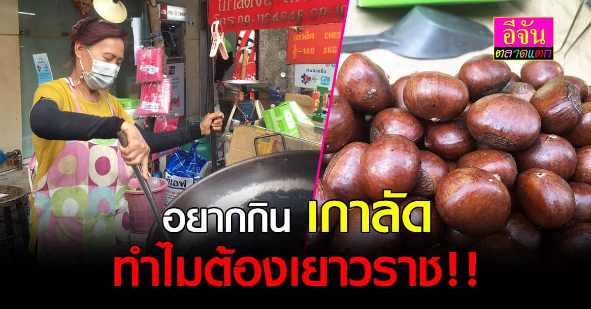 อยากกิน เกาลัด ทำไมต้องไปซื้อที่เยาวราช