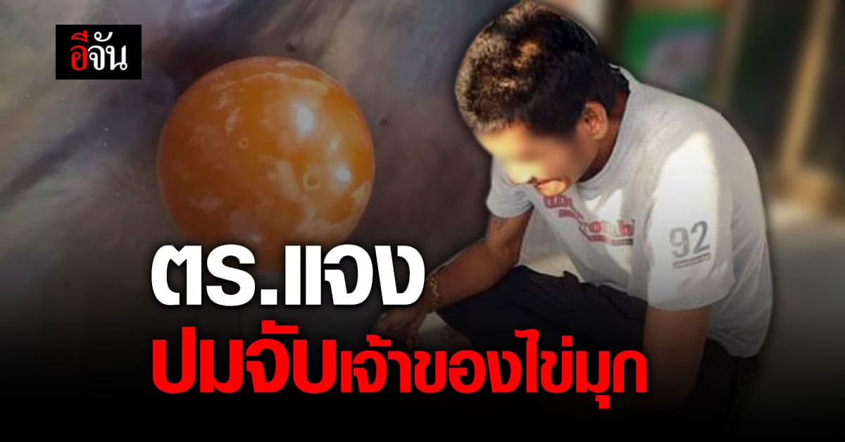 ตำรวจ แจงชัด ปมจับเจ้าของไข่มุกเมโล