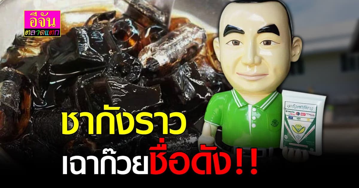 เฉาก๊วยชากังราว สินค้าโอทอป ชื่อดัง กำแพงเพชร