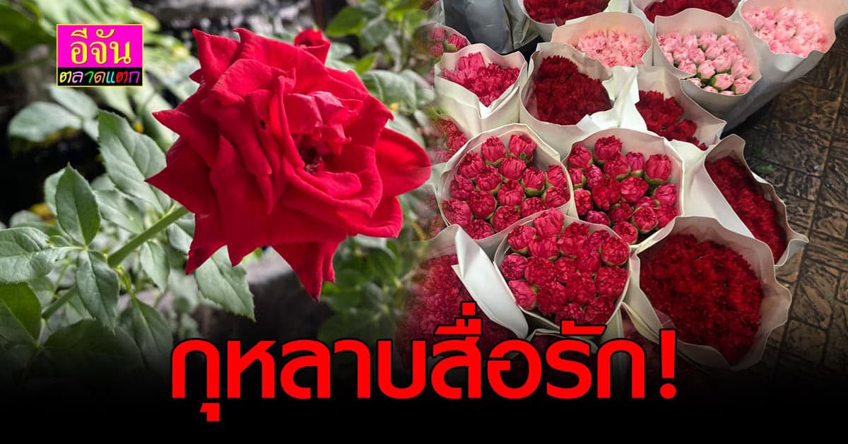 กุหลาบสื่อรัก วันวาเลนไทน์ ส่งต่อความหมายดีๆให้กับคนพิเศษ