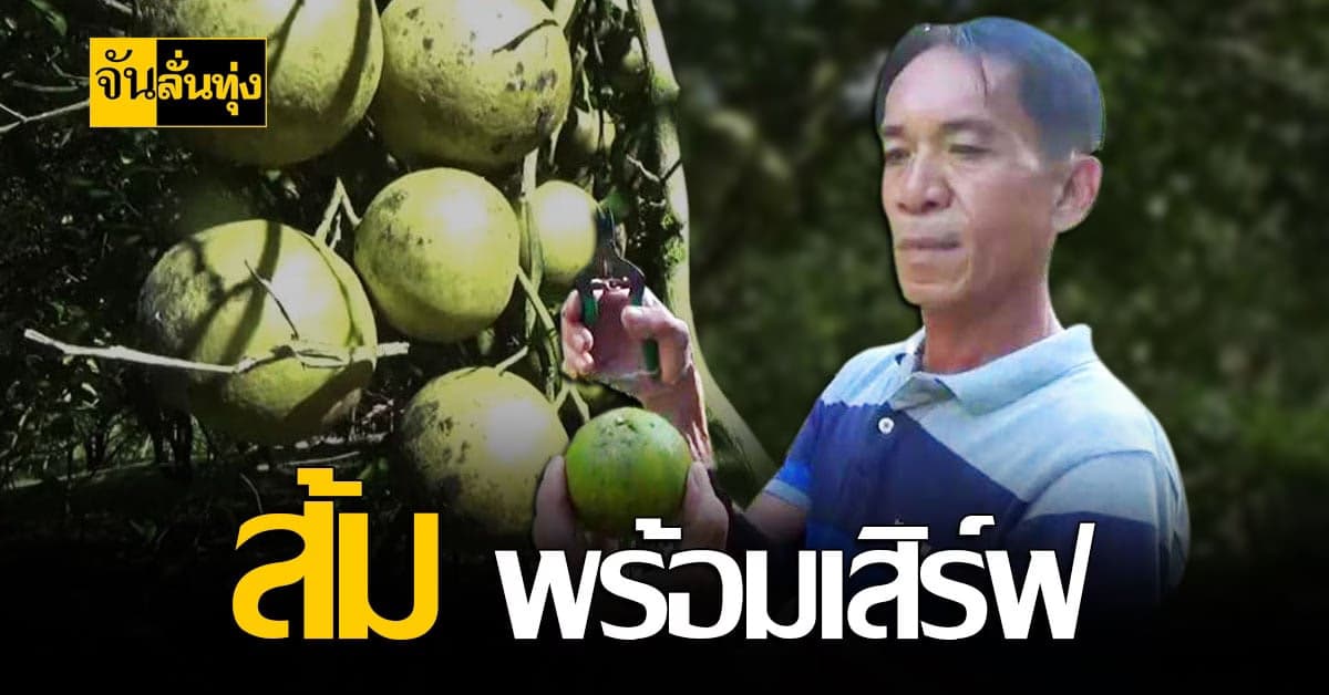 เกษตรกรตรัง ปรับตัวช่วงตรุษจีน ขายส้มออนไลน์ ขยายตลาด สู้โควิด