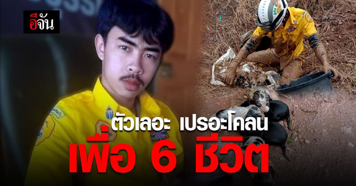 กราบน้ำใจ ฮีโร่ชุดเหลือง บุรีรัมย์ มุดท่อ ช่วยลูกหมาน้อย 6 ชีวิต