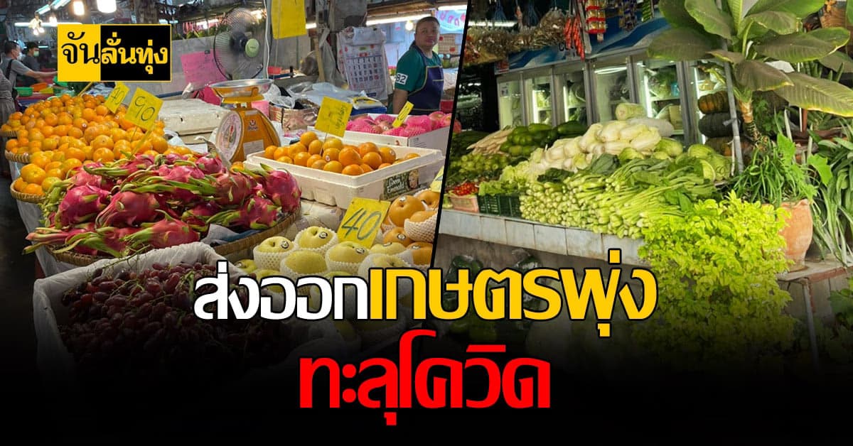 ฝ่าวิกฤติ โควิด ส่งออกเกษตรขยายตัว