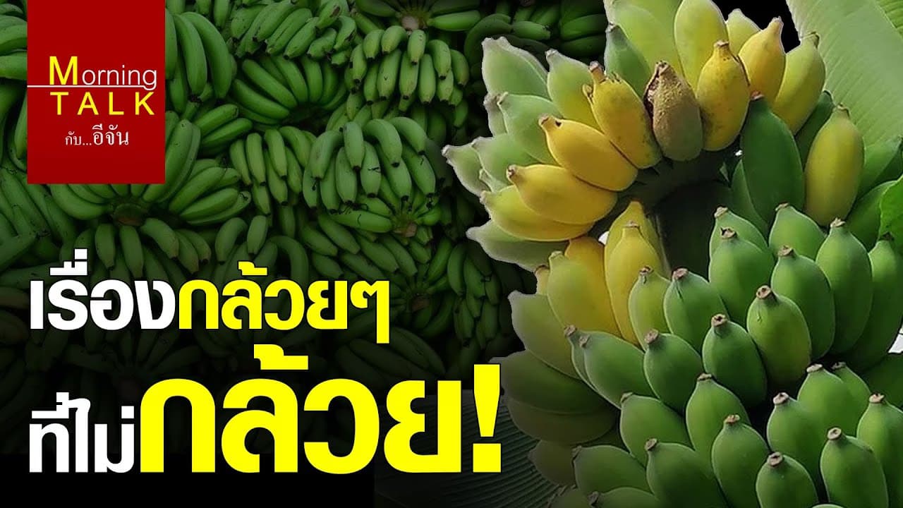 เรื่องกล้วยๆ