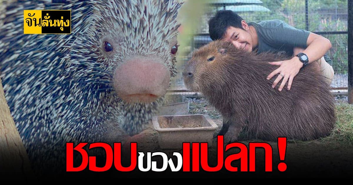 หนุ่มหล่อ ชื่นชอบการเลี้ยง สัตว์แปลก จนกลายเป็นอาชีพ