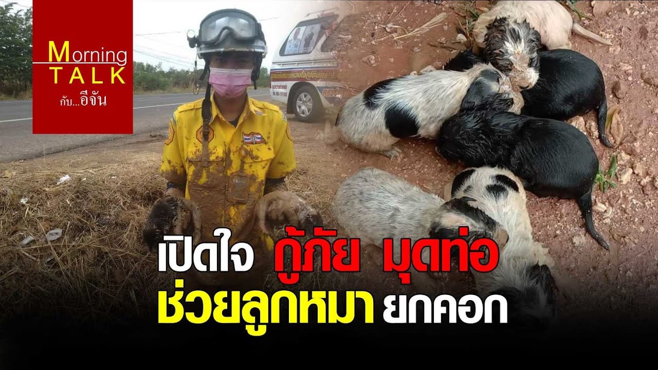 เปิดใจ กู้ภัย มุดท่อช่วยลูกหมายกคอก