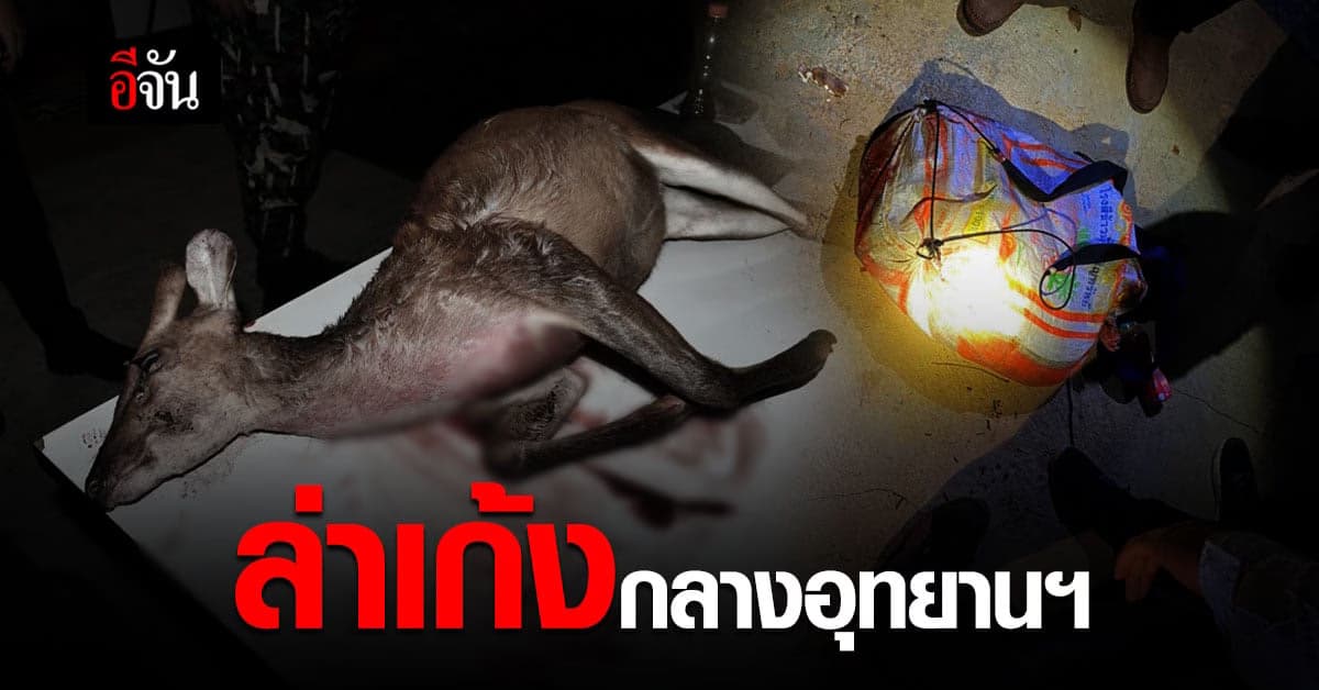 พรานปริศนา ลอบล่าสัตว์ป่า กลาง อช.แก่งกระจาน