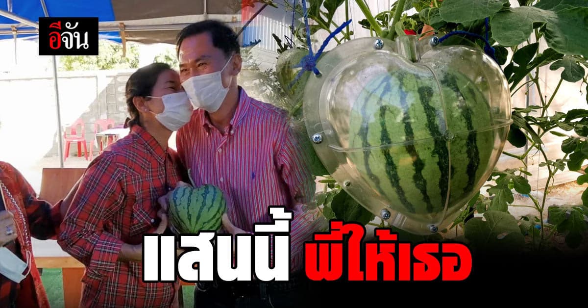 พี่มีแต่ให้! สส. ศรีสะเกษ ประมูล แตงโมรูปหัวใจ ราคาเหยียบแสนมอบให้ภรรยา วันวาเลนไทน์